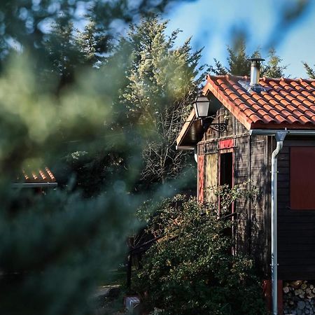Гостьовий будинок Casa Rural La Canadiense Log Cabin Buenache de la Sierra Екстер'єр фото