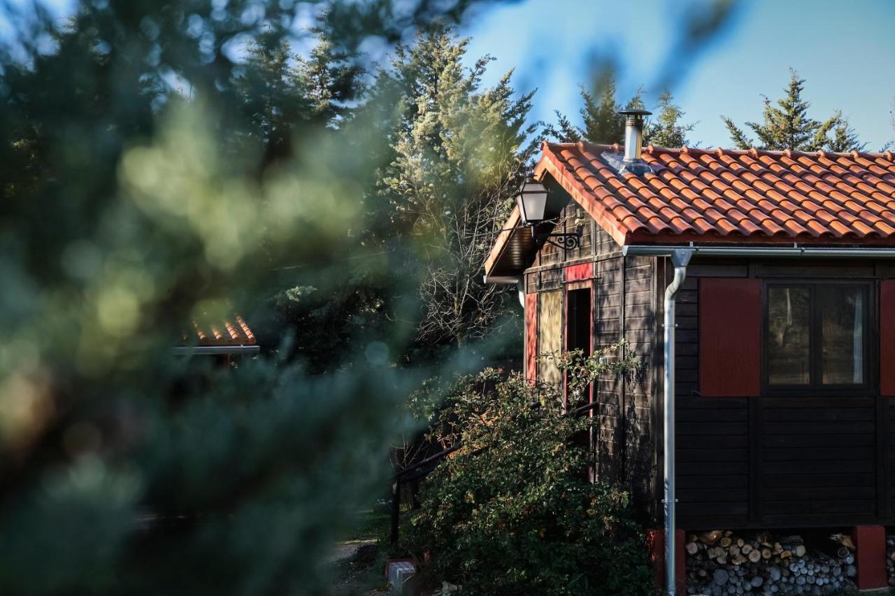 Гостьовий будинок Casa Rural La Canadiense Log Cabin Buenache de la Sierra Екстер'єр фото