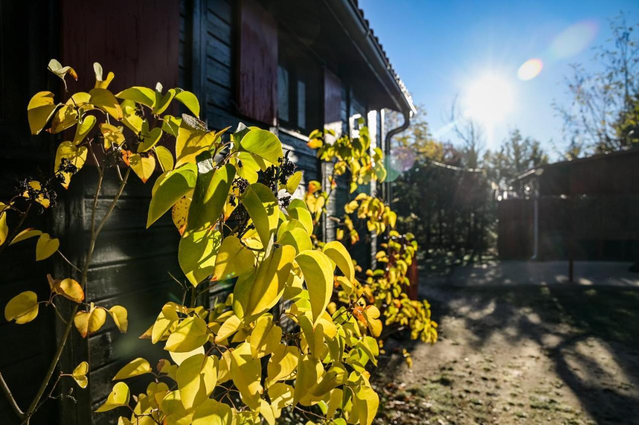 Гостьовий будинок Casa Rural La Canadiense Log Cabin Buenache de la Sierra Екстер'єр фото